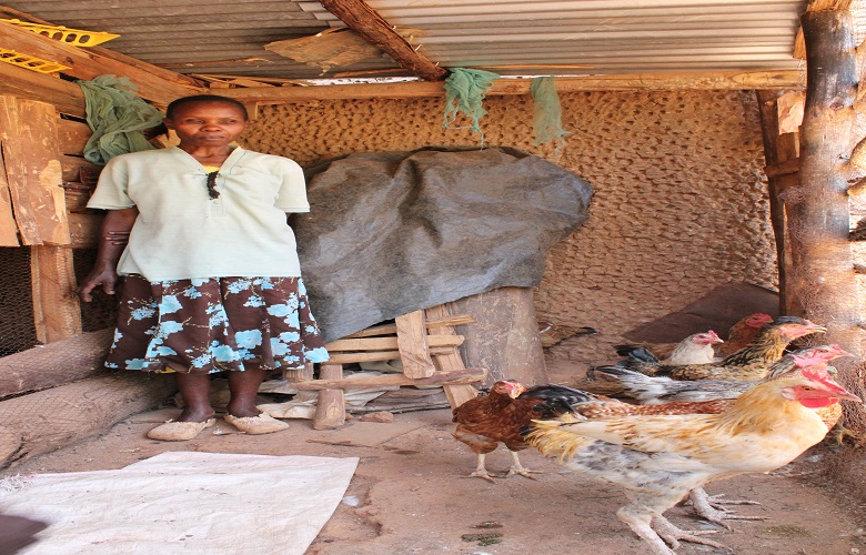 Margaret Kwamboka keeps chickens for protein supply and for income via sales of eggs and poultry meat